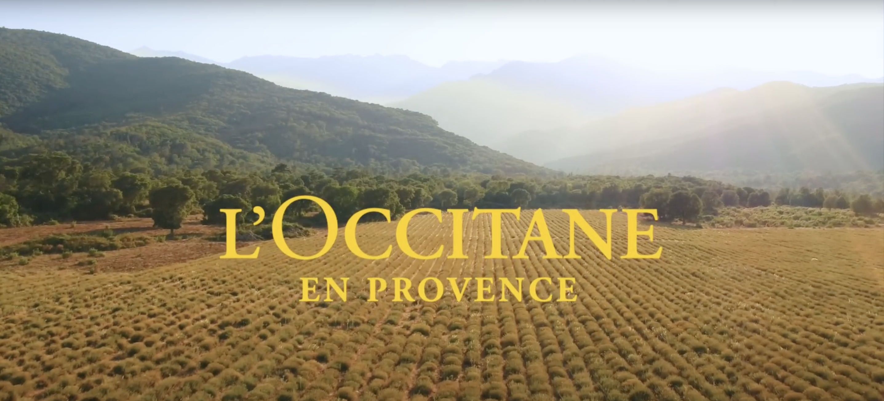 L'Occitane – Pause. Reconnect. Recharge. — Film + Integrated Campaign
