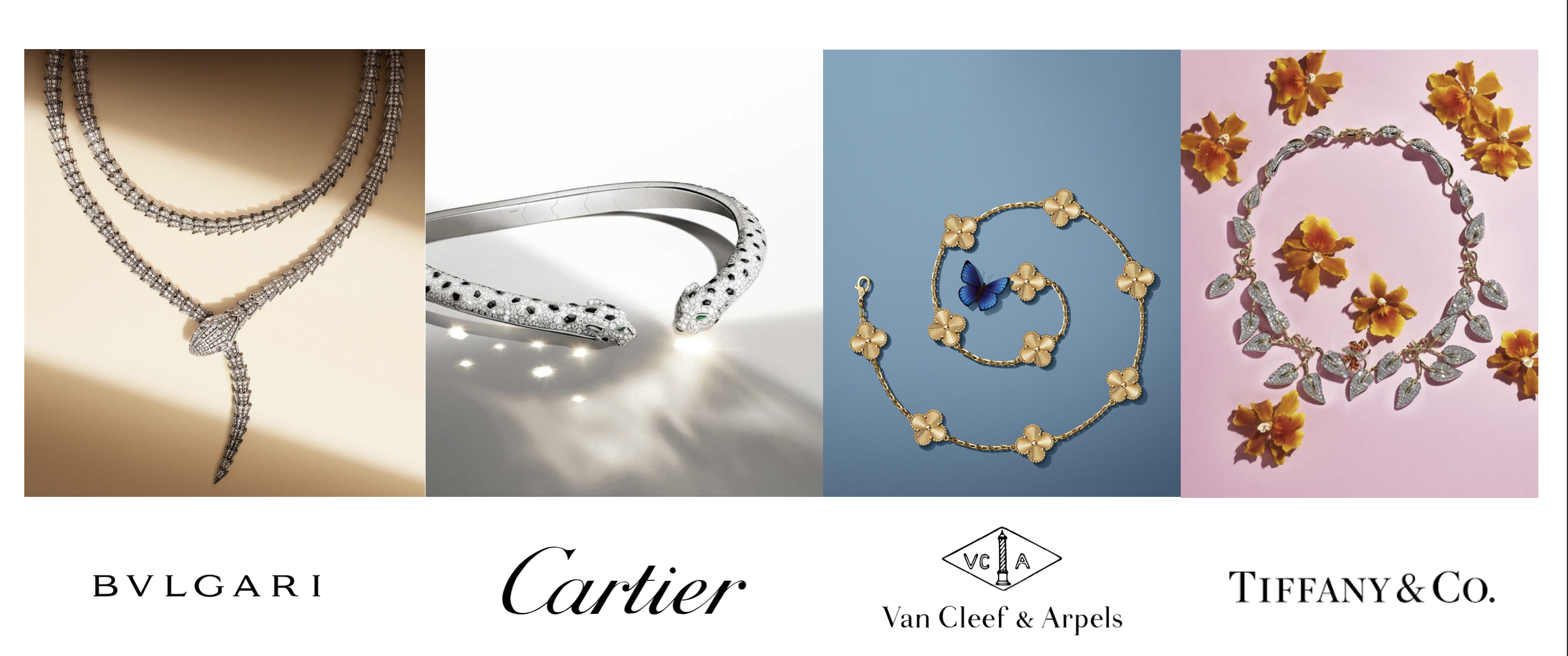 Competitor and brand grid